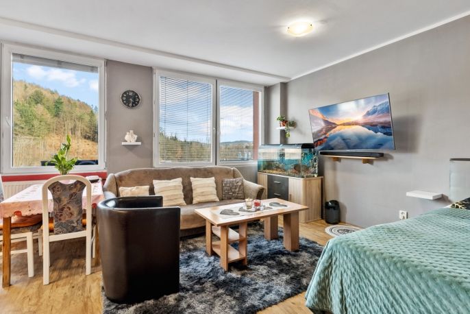 Prodej, Byt 1+kk, Liberec