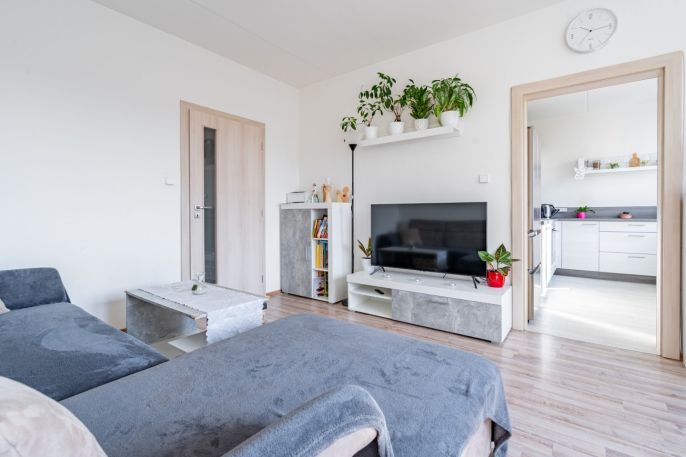 Prodej, Byt 3+1, Písek