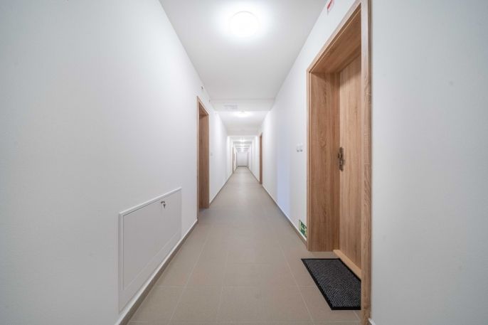 Pronájem, Byt 1+kk, Třemošná