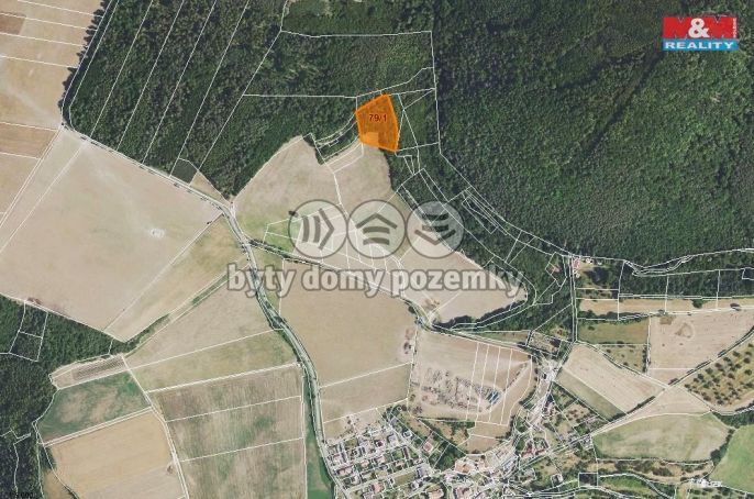 Prodej, Louka, Nezabudice