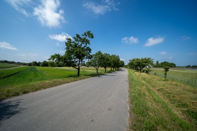 Prodej, Pole, Velký Újezd