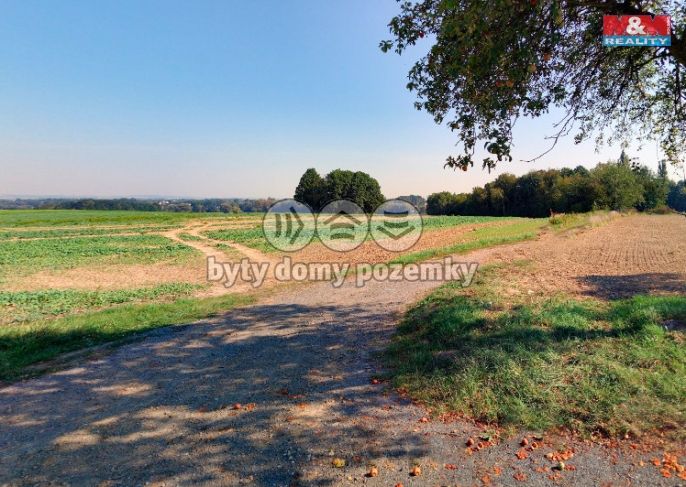 Prodej, Pole, Bartošovice