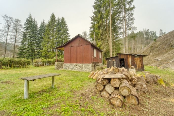 Prodej, Chata, Planá