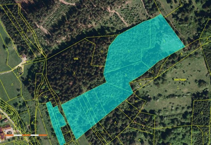 Prodej, Les, Nový Hrozenkov