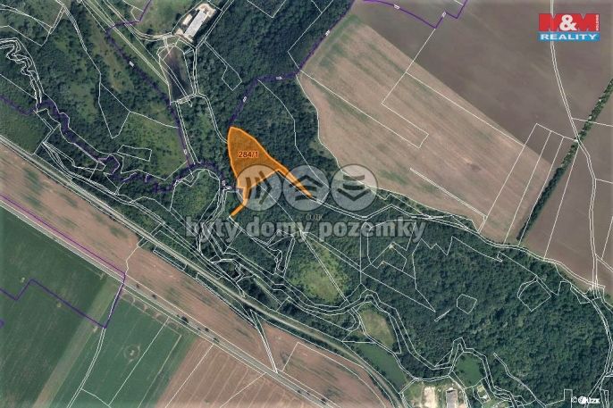 Prodej, Les, Žiželice