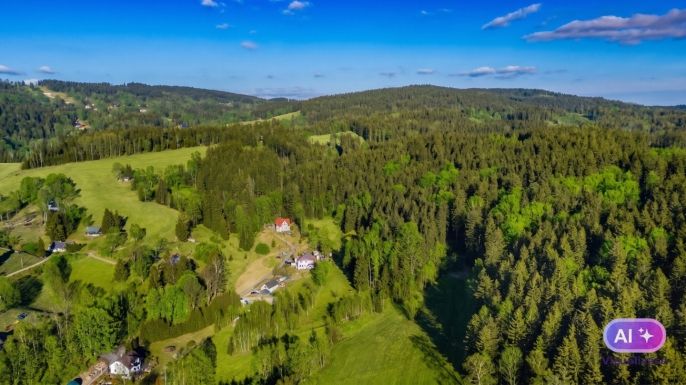 Prodej, Louka, Janov nad Nisou