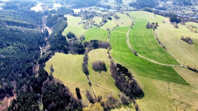 Prodej, Les, Pastviny