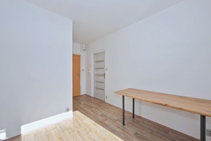 Pronájem, Byt 1+1, Křižanov