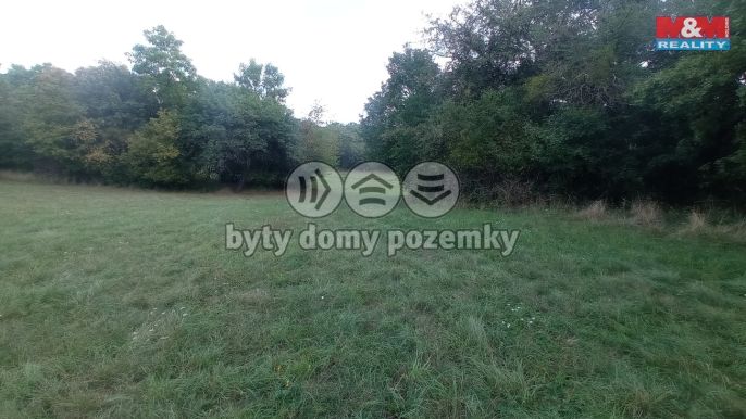 Prodej, Louka, Jenčice