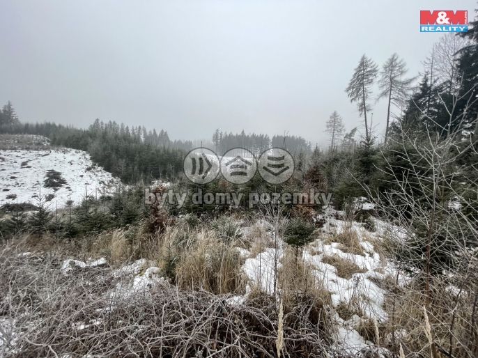 Prodej, Les, Vidochov