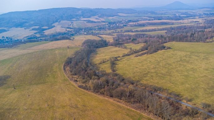 Prodej, Les, Dolní Habartice