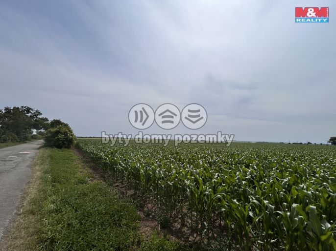 Prodej, Pole, Prostějov