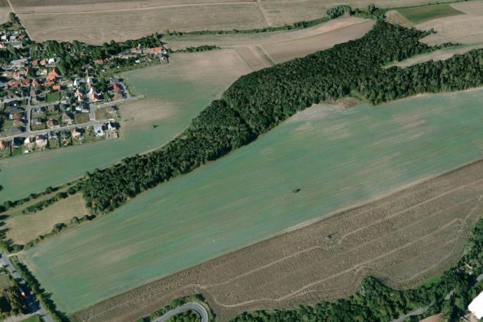 Prodej, Ostatní, Hrdlív