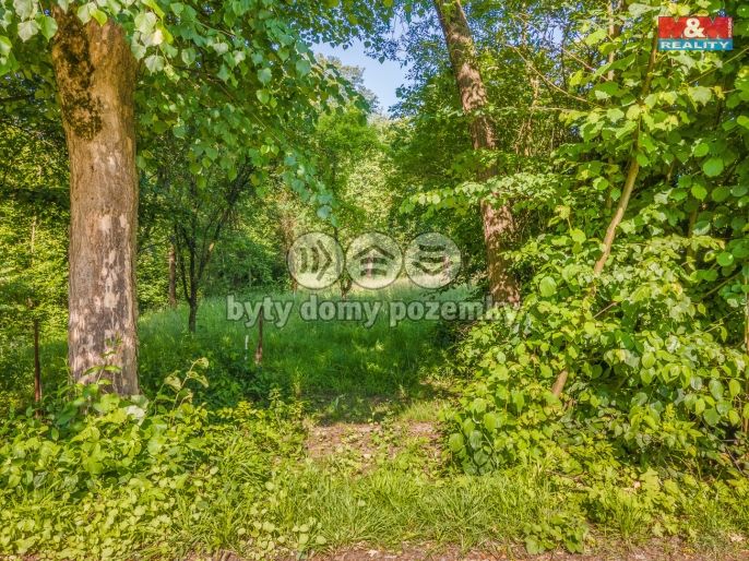 Prodej, Zahrada, Český Těšín