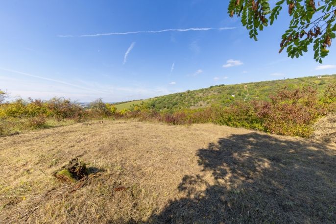 Prodej, Zahrada, Židlochovice