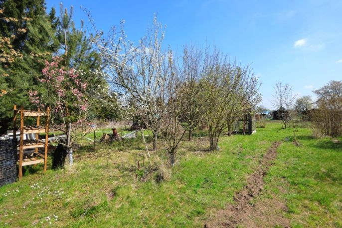 Prodej, Zahrada, Čáslav