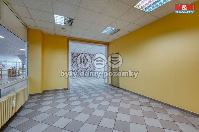 Pronájem, Obchod a služby, Třemošná