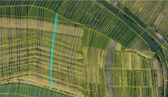 Prodej, Vinice, Morkůvky