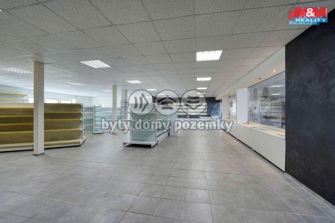 Pronájem, Obchod a služby, Třemošná