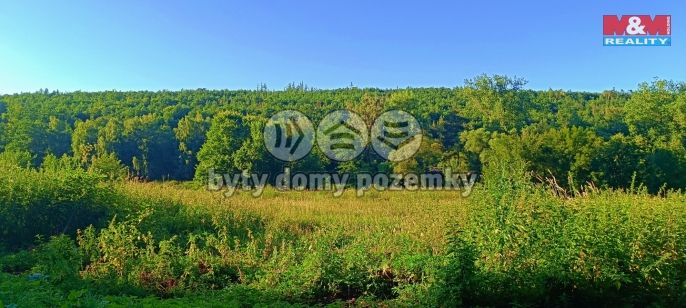 Prodej, Louka, Nižbor