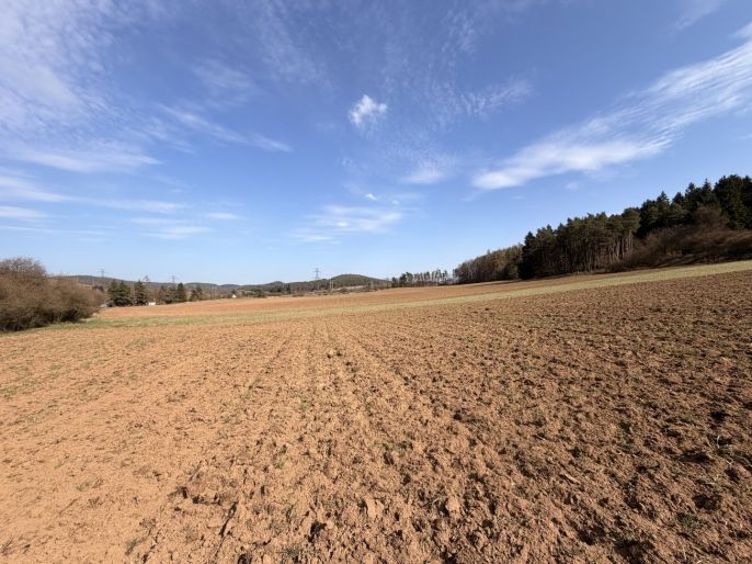 Prodej, Pole, Drevníky