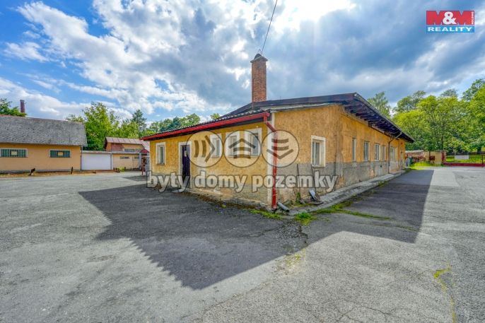 Prodej, Výrobní objekt, Chodová Planá