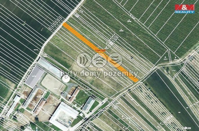 Prodej, Vinice, Týnec