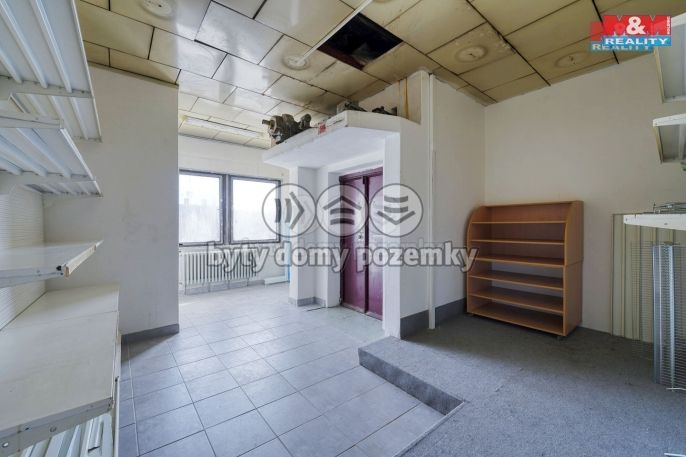 Pronájem, Obchod a služby, Třemošná