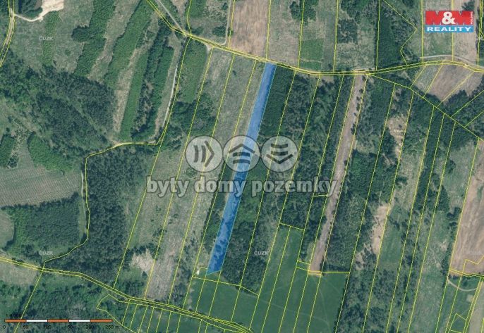 Prodej, Les, Jetětice