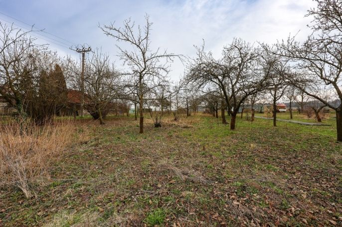 Prodej, Pozemek k bydlení, Určice