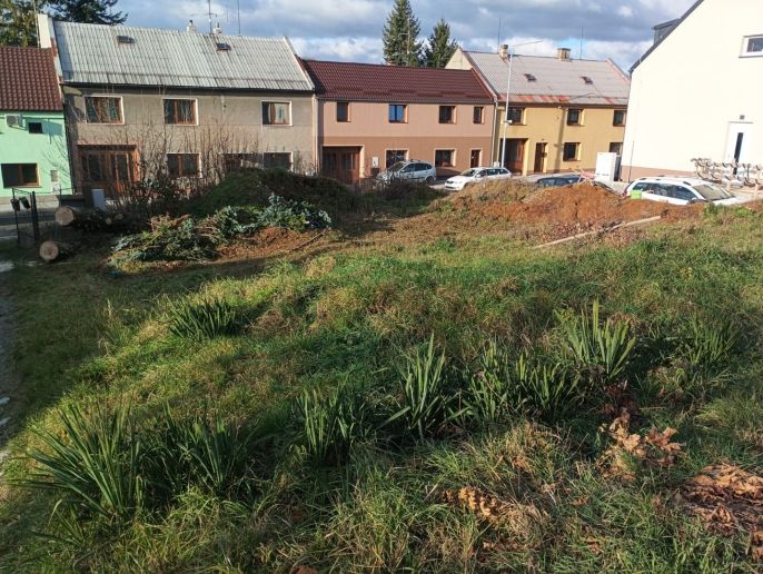 Prodej, Pozemek k bydlení, Tršice