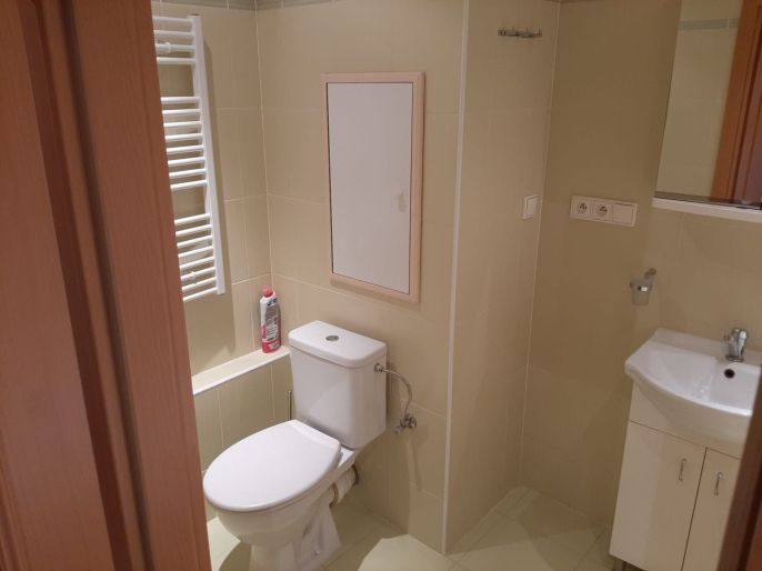 Pronájem, Byt 1+1, Kladno