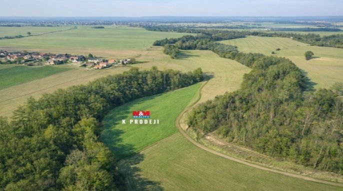 Prodej, Louka, Čistá