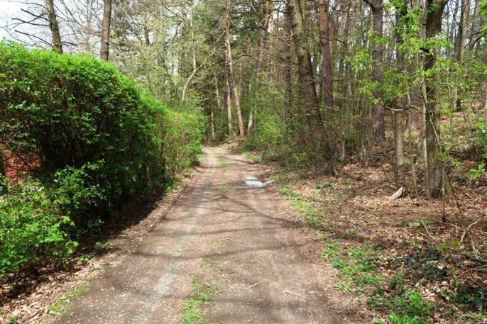 Prodej, Chata, Svojšice