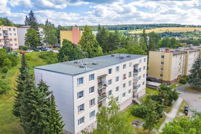 Pronájem, Byt 1+1, Plasy