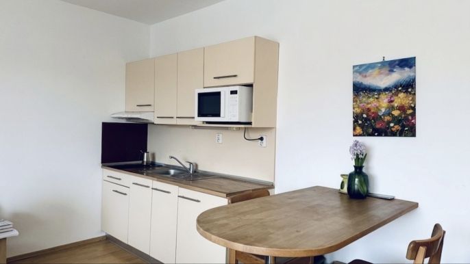 Prodej, Byt 1+kk, Brno