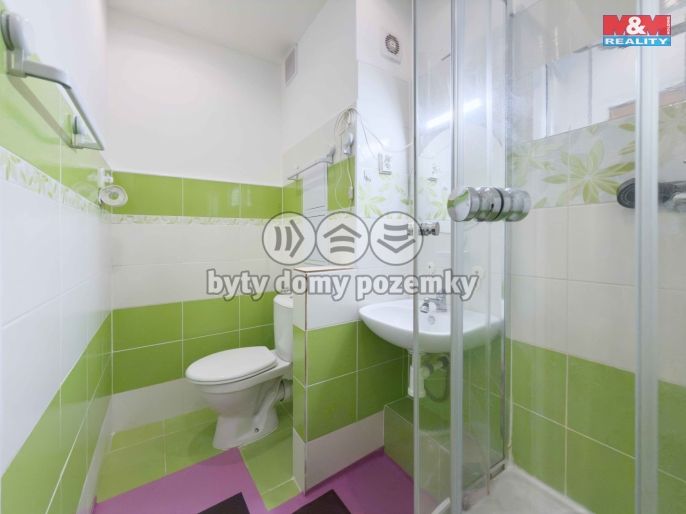 Prodej, Byt 2+1, Karviná