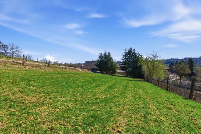 Prodej, Rodinný dům, Domoušice