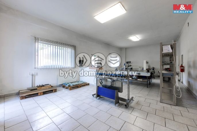 Prodej, Výrobní objekt, Nebanice