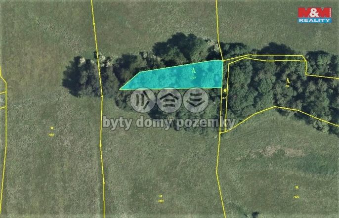 Prodej, Les, Velká Bukovina