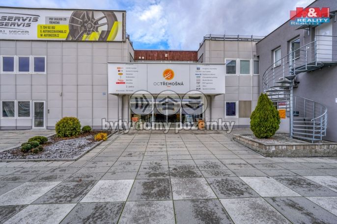 Pronájem, Obchod a služby, Třemošná