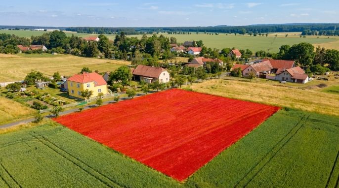 Prodej, Pozemek k bydlení, Radhošť