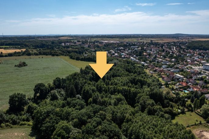 Prodej, Komerční pozemky, Praha