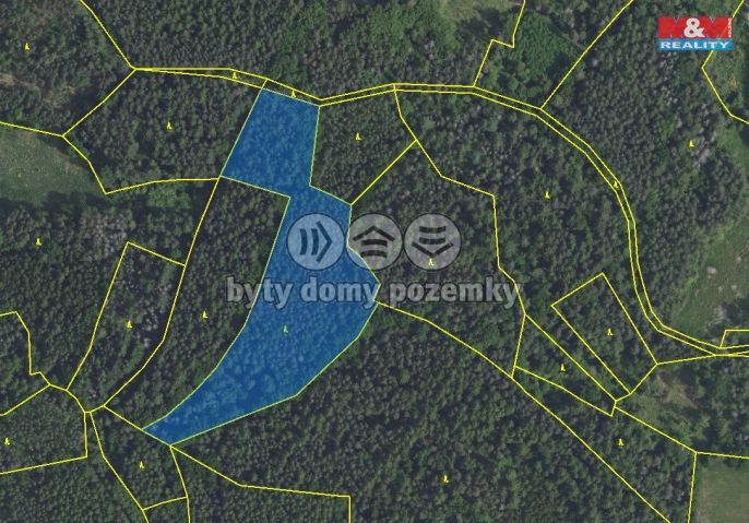 Prodej, Les, Petrovice