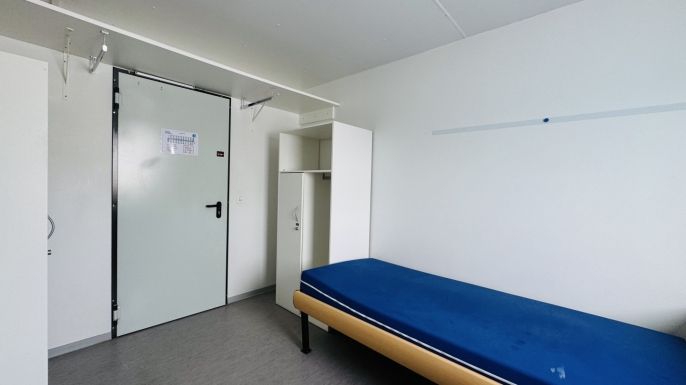 Prodej, Ostatní, Planá