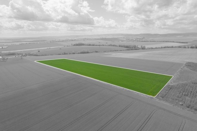 Prodej, Pole, Šumice