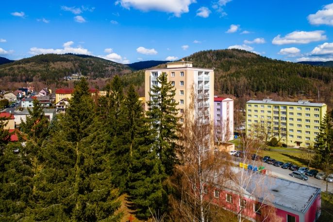 Prodej, Byt 2+1, Nejdek