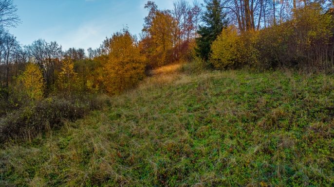 Prodej, Louka, Bílá