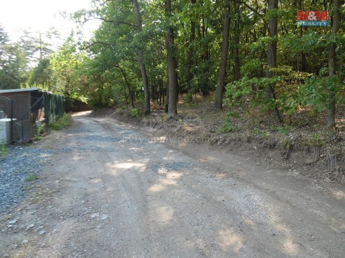 Pronájem, Chata, Vráž