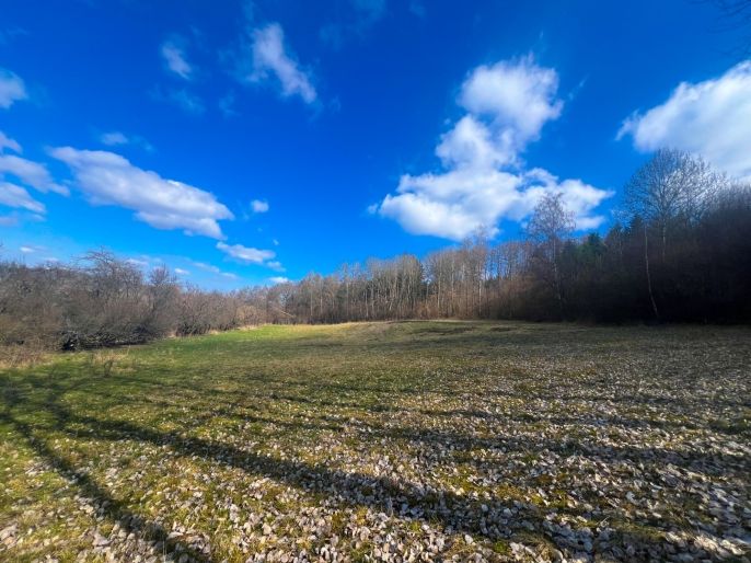 Prodej, Louka, Sušice